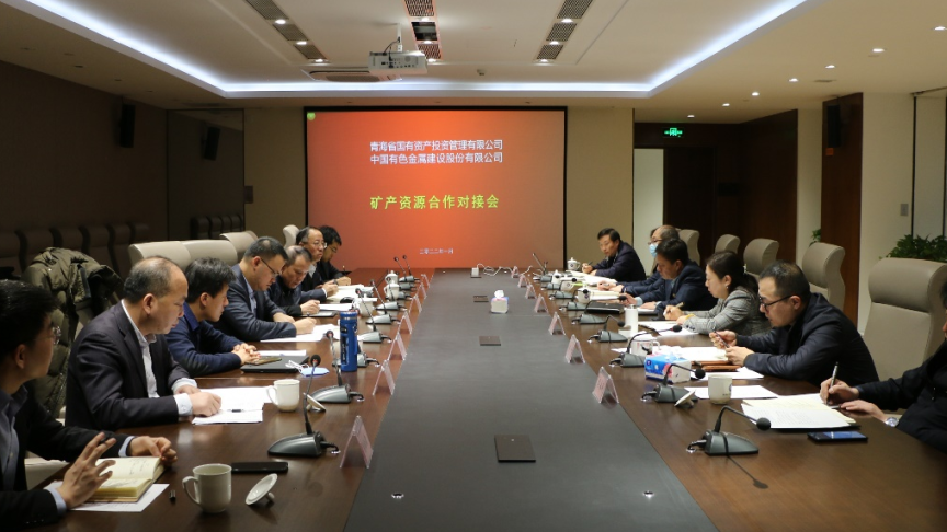 十大网投靠谱平台(中国)责任有限公司与中国有色股份开展矿产资源合作洽谈