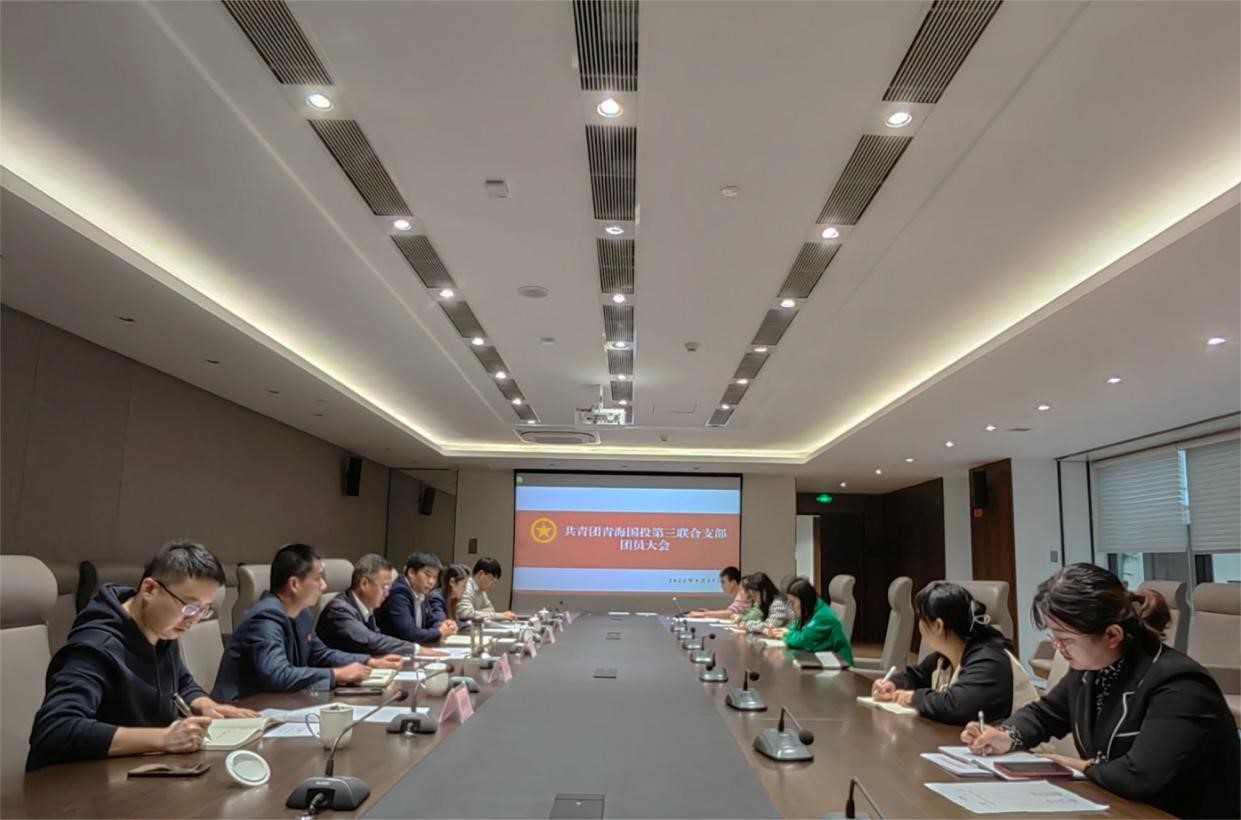 十大网投靠谱平台(中国)责任有限公司第三联合团支部召开团员大会—凝聚青年力量  助力国企发展